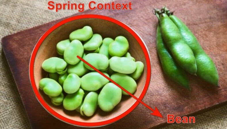 Spring bean creation testing